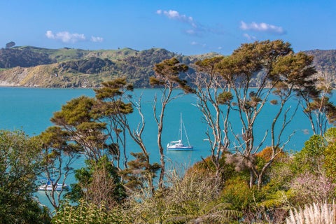 31 Lily Street, Raglan, Raglan