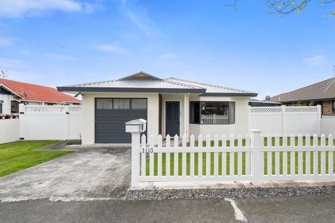 103 Winchester Street, Levin, Levin