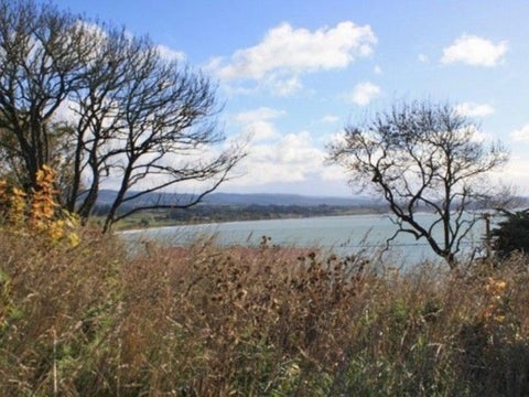38 Haven Street, MOERAKI, Moeraki