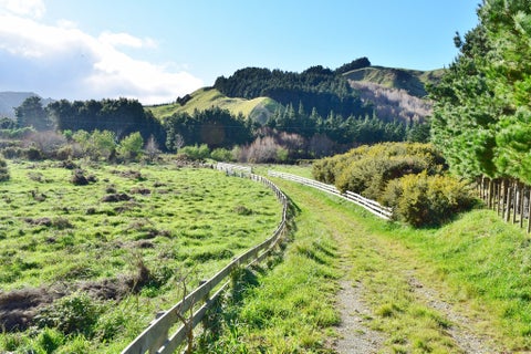 5645 Castlepoint Road, TINUI, Tinui
