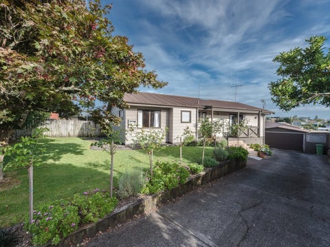 94 Amanda Avenue, Dinsdale, Hamilton