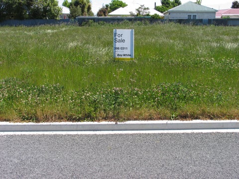 31 Kotare Avenue, Rangiora, Rangiora