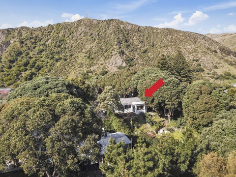 45 Wellington Road, Paekakariki, Paekakariki