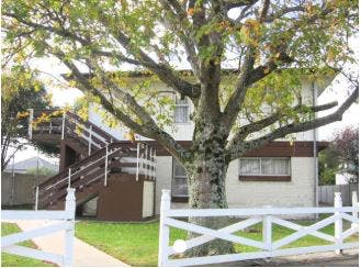 7/195 WATERLOO RD, WATERLOO, LOWER HUTT