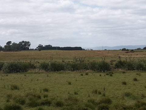 0 Banks Road, Matamata, Matamata