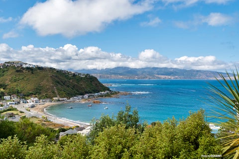 31 Milne Terrace, Island Bay, Wellington