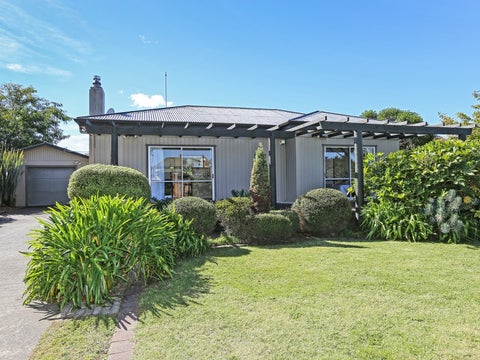 111 Gascoigne Street, Raureka, Hastings