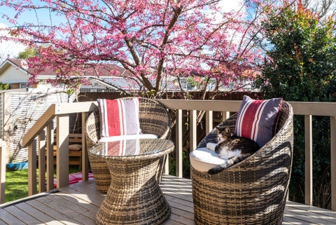 3/327 Great South Road, Papakura, Auckland
