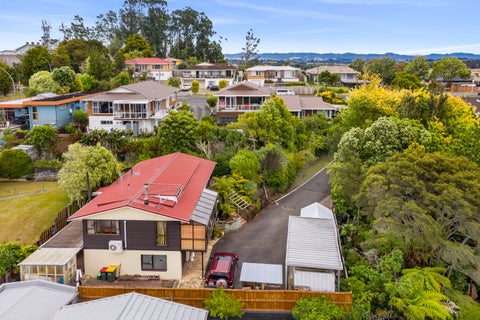 54 Newcastle Road, Dinsdale, Hamilton