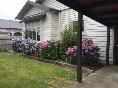 64 Robertson Street, Richmond, Invercargill