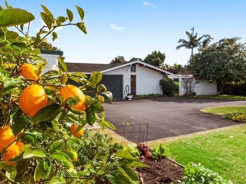 5A Pouwhare Street, Whakatane, Whakatane