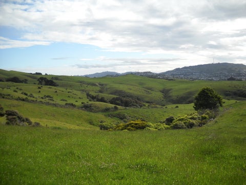 4 Van Der Velden Way, Horokiwi, Wellington