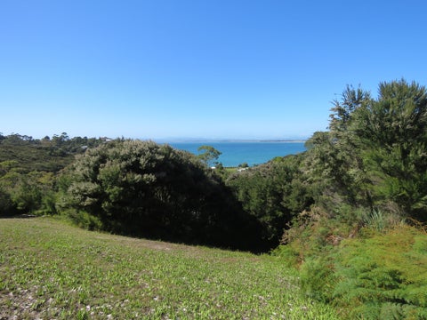 18 De Surville Road, Karikari Peninsula, Karikari Peninsula