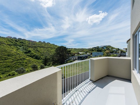 2/42 Hoover Street, Brooklyn, Wellington