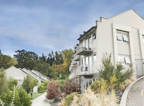 1/73 Buccleugh Street, North East Valley, Dunedin
