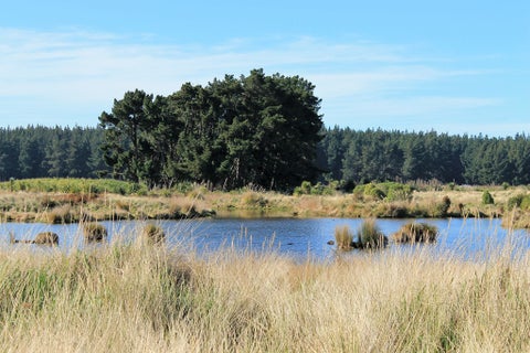 68 Te Kohanga DR, Pegasus, Pegasus
