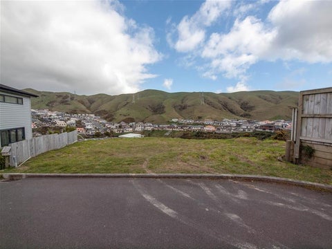 20 Mauldeth Terrace, Churton Park, Wellington