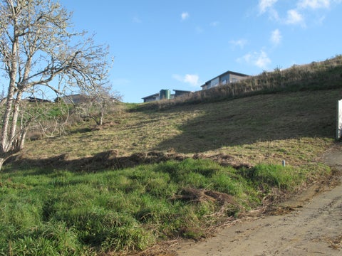 22B Simon Road, Raglan, Raglan