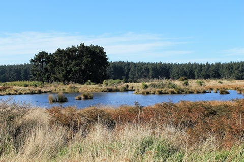 66 Te Kohanga DR, Pegasus, Pegasus