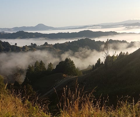 453 Kururau Road, Taumarunui