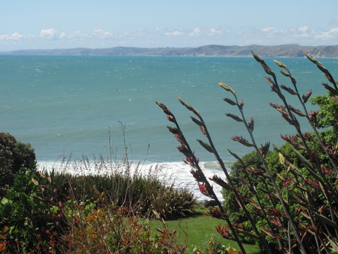 10A Calvert Road, Raglan