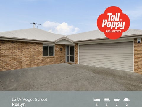 157A Vogel Street, Roslyn, Palmerston North