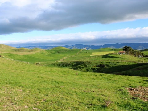 38 Rule Road, Dannevirke