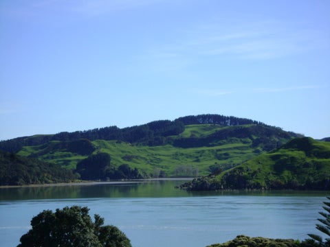 16 Rose Street, Raglan, Raglan