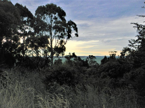12 Tenby Street, Moeraki