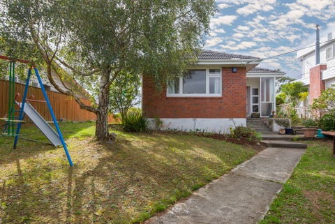 6 Paeroa Street, Newtown, Wellington
