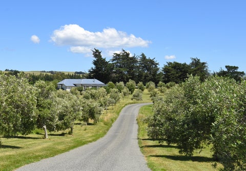142B Dublin Street, Martinborough