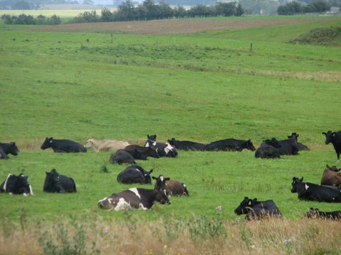 0 Pukewhai Road, Kaingaroa, Kaitaia