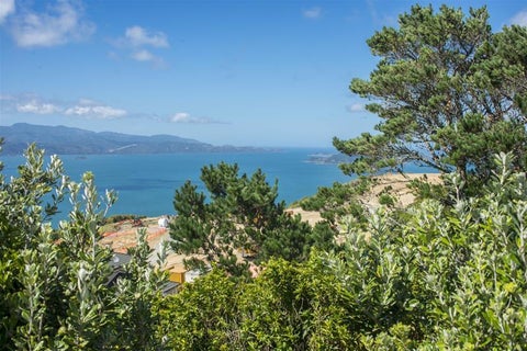 34A Kenmore Street, Newlands, Wellington