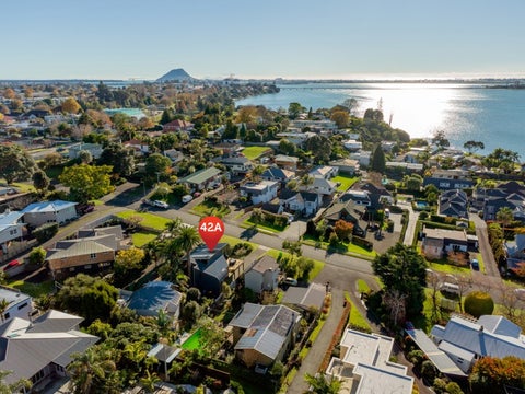 42A Harvey Street, Tauranga South, Tauranga