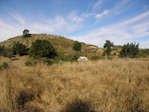 15D Tenby Street, Moeraki