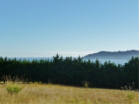4 Vidar Way, Coopers Beach, Coopers Beach