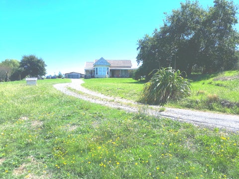 19 Patrick Street, Foxton, Foxton