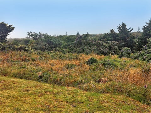 13 Kawau Grove, Waikanae Beach, Waikanae
