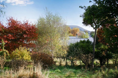 43 Bourke Street, Waikouaiti, Waikouaiti