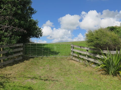 447 Wainui Road, Raglan