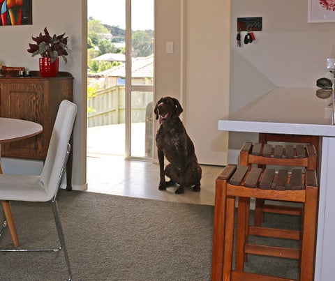 6B Clifton Lane, Snells Beach, Snells Beach