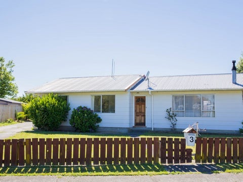 3 Guy Avenue, Levin, Levin