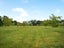1776A State Highway 2, Greytown - Carousel 12