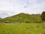 368 Oparara Loop Road, Karamea - Carousel 15