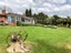 1170 State Highway 22, TUAKAU - Carousel 14