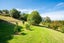 235 Devich Road, Kaiwaka - Carousel 30