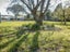 165 Middle Renwick Road, Springlands, Blenheim - Carousel 12