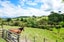 87 Zanders Road, Waimauku - Carousel 4