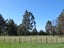 290 Upper Plain Road, Upper Plain, Masterton - Carousel 16