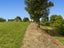 51 Garvan Glen, Pyes Pa, Tauranga - Carousel 12